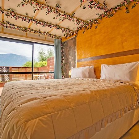 Waikoura springs Bed & Breakfast Kaikoura Bagian luar foto