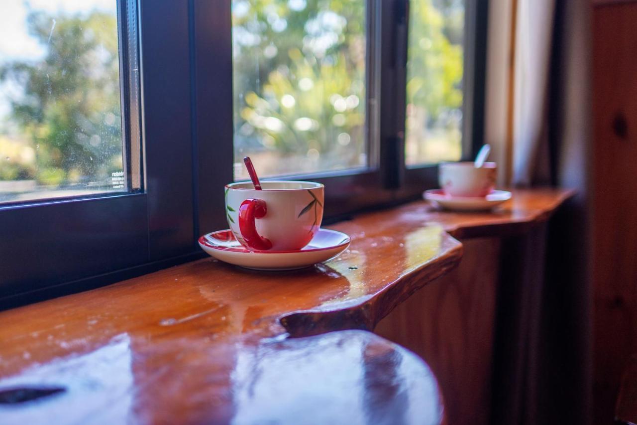Waikoura springs Bed & Breakfast Kaikoura Bagian luar foto