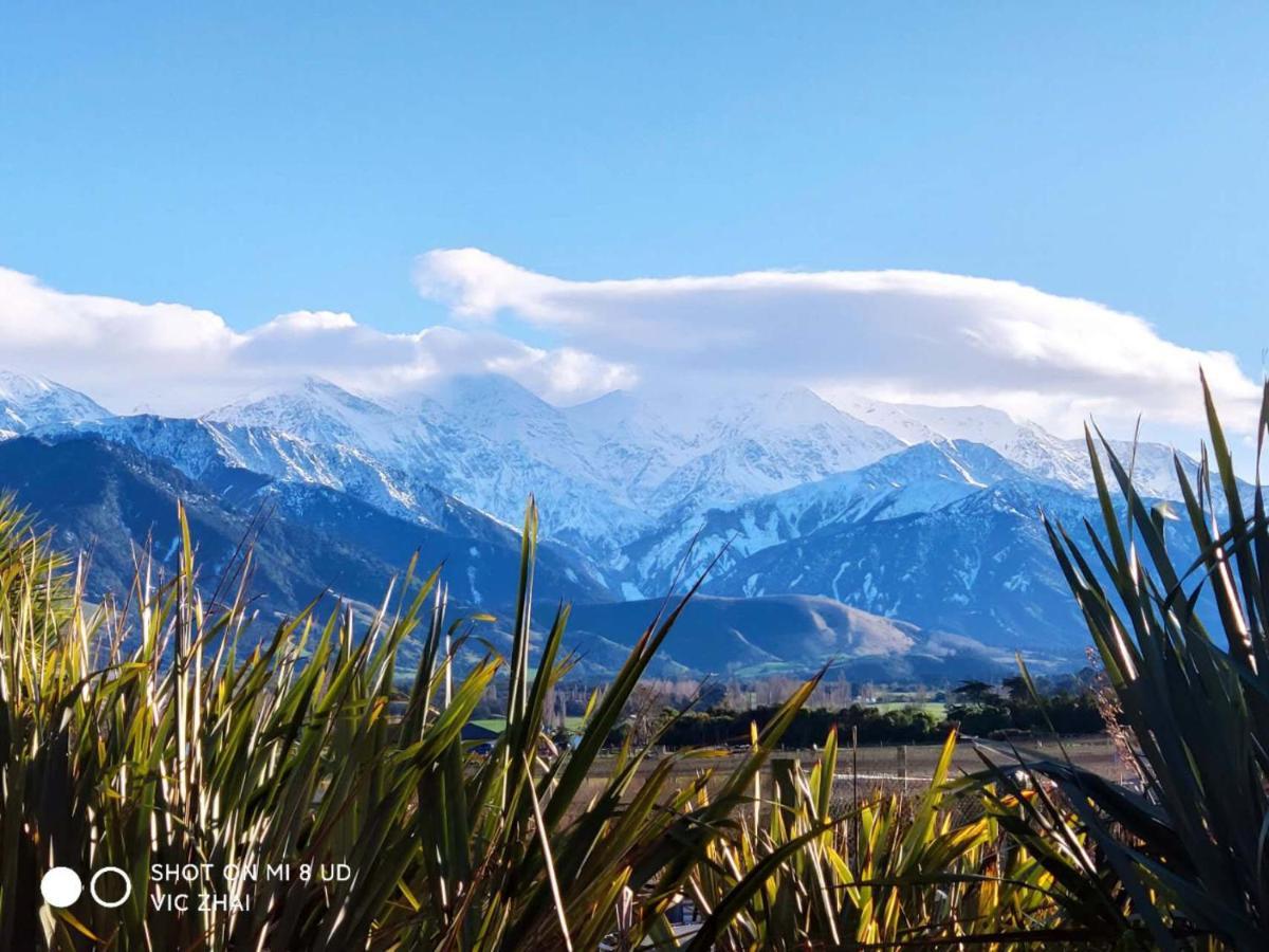 Waikoura springs Bed & Breakfast Kaikoura Bagian luar foto
